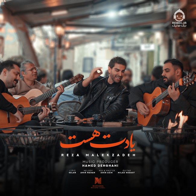 آهنگ یادت هست از رضا ملک زاده